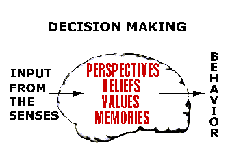 Perspectives, beliefs, values, and memories are part of the brain's decision-making software